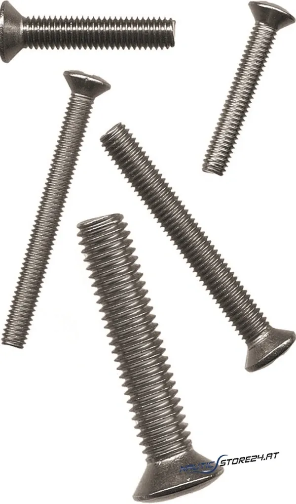 Niroschrauben Linsensenkkopf